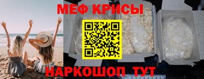шишки Обь