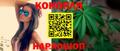 шишки Обь