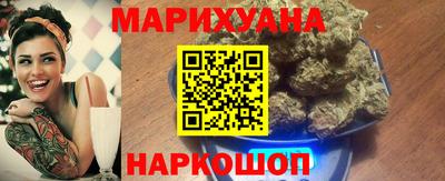 шишки Обь