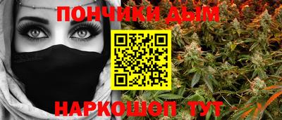 шишки Обь