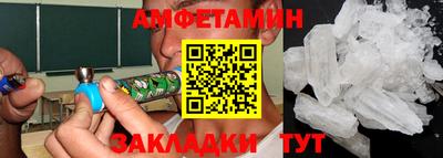 шишки Обь